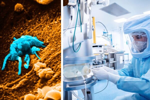 Neue Studie weist auf Risiken der mRNA-Covid-Impfung bei Krebspatienten hin
